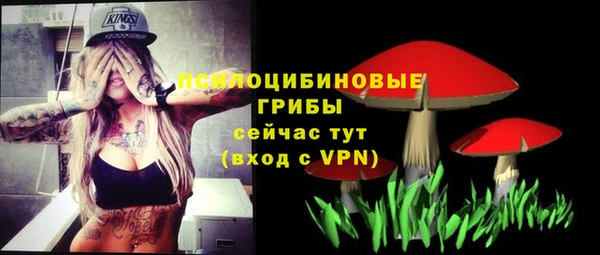 скорость Алексеевка