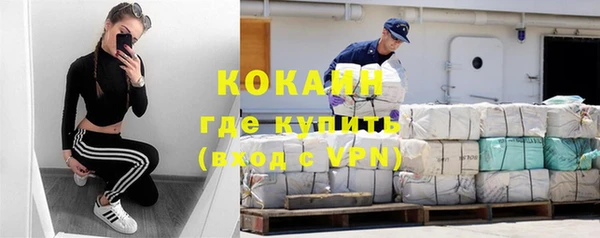 прущий лед Алзамай