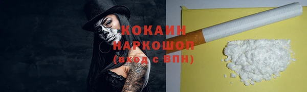 прущий лед Алзамай
