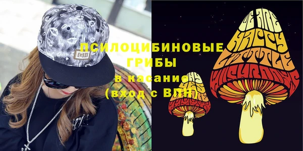 прущий лед Алзамай