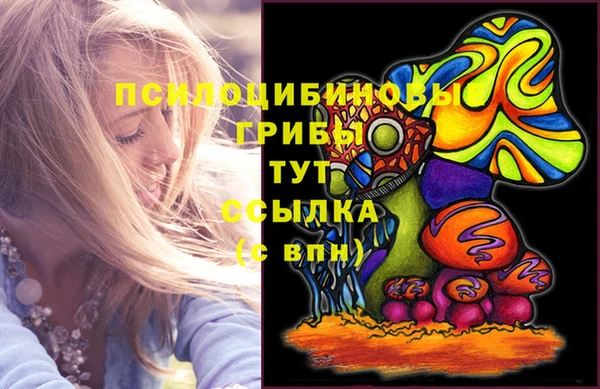 прущий лед Алзамай