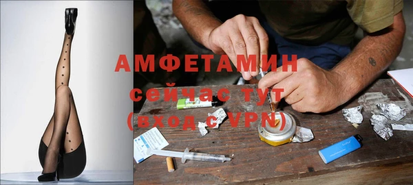 ГАЛЛЮЦИНОГЕННЫЕ ГРИБЫ Алексин