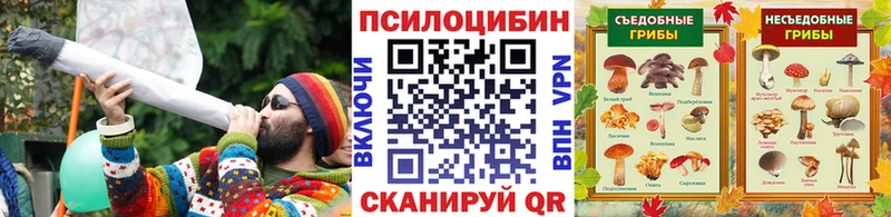 Псилоцибиновые грибы GOLDEN TEACHER кракен сайт Жирновск