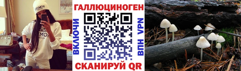 Псилоцибиновые грибы Psilocybe Жирновск